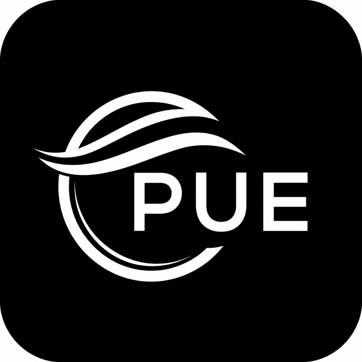 P U Enterprises